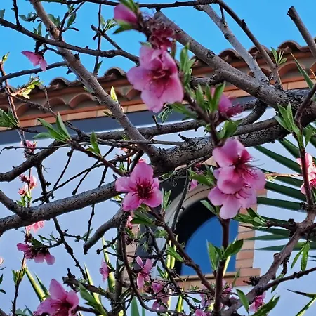 Maison Les Agapanthes * Villeneuve-les-Beziers